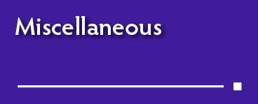 link to miscellaneous portfolio