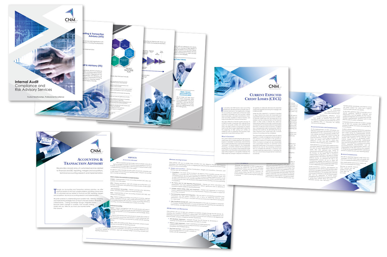 CNM LLP Brochures