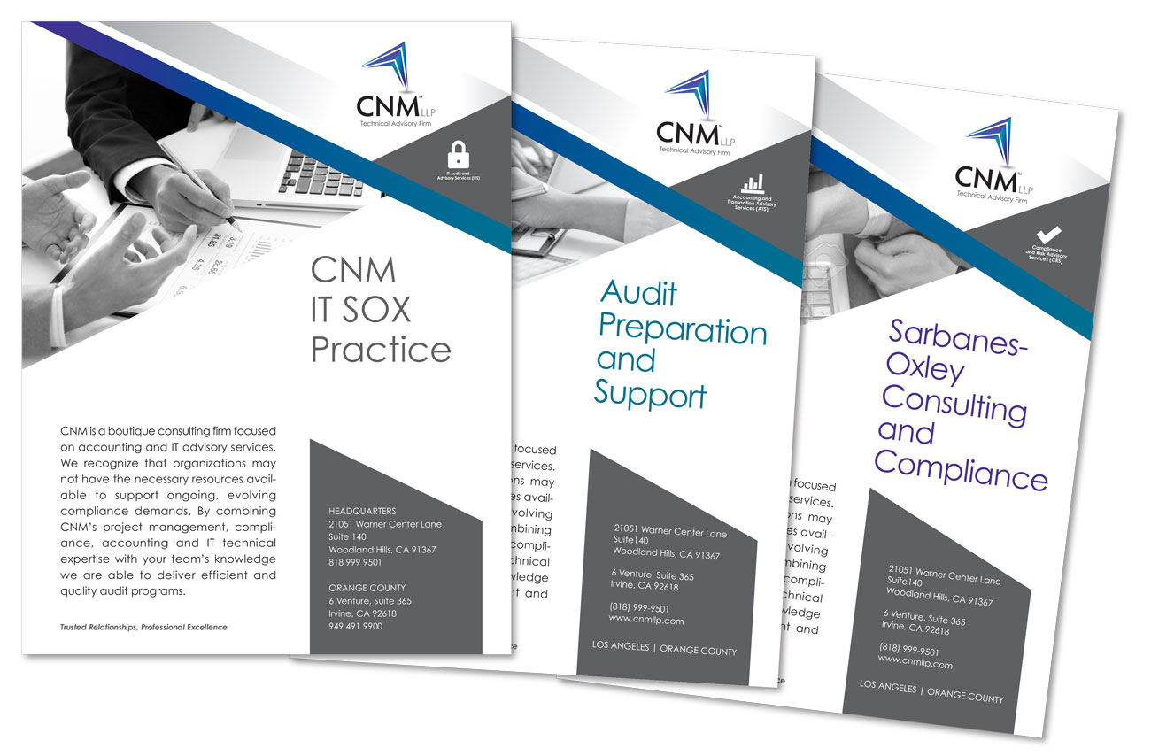 CNM LLP Flyers