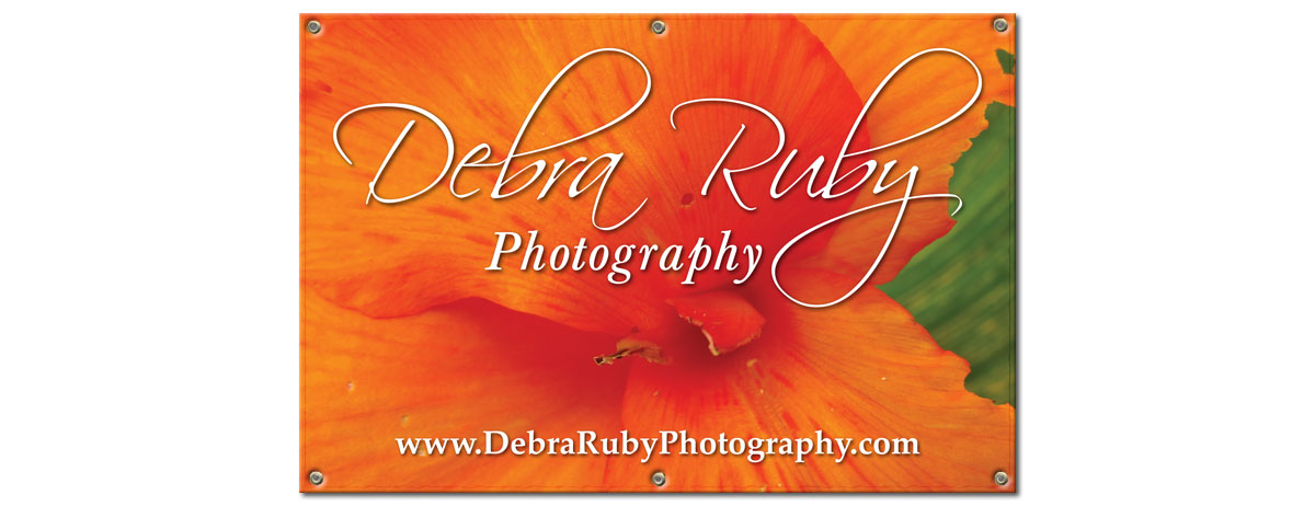 Debra Ruby Photography Hanging Banner